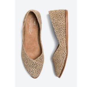 Tom's Jutti Neat Flats, Animal Pring, Size 7